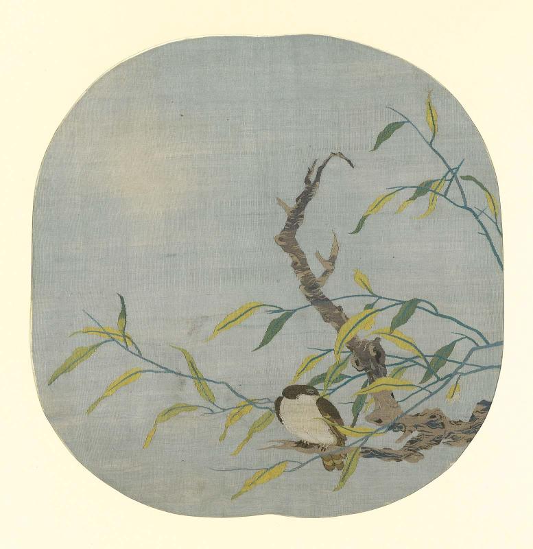 Bird on the branch of a willow tree