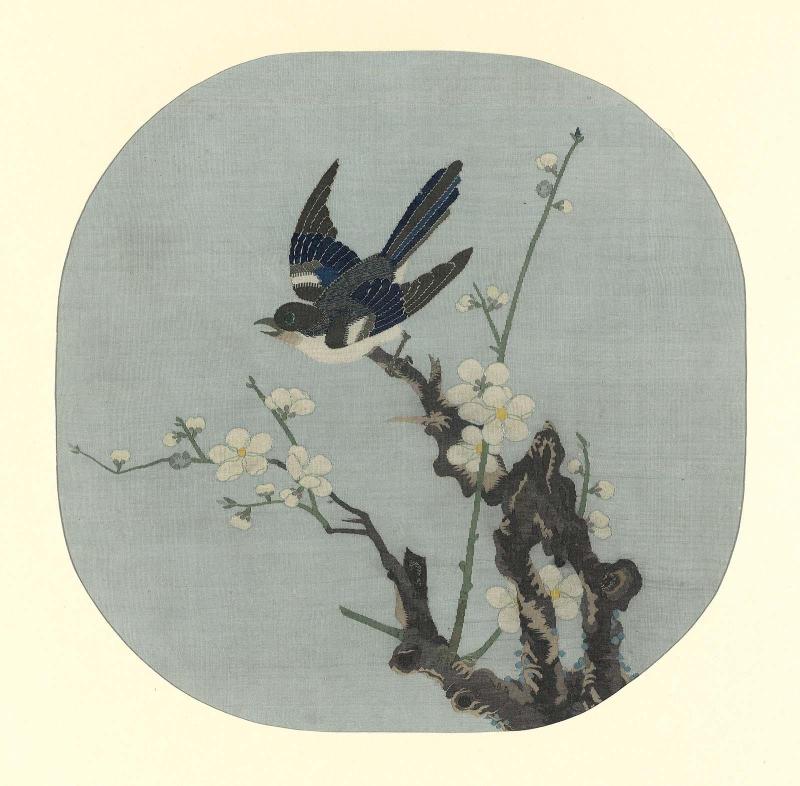 Bird on the branch of a plum tree
