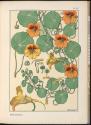 Plate 40