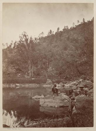 View on Apache Lake, Sierra Blanca Range, Arizona