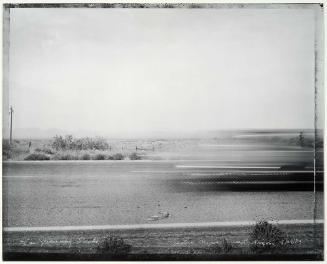 Car Passing Snake, Eastern Mojave Desert, Arizona 5/29/83