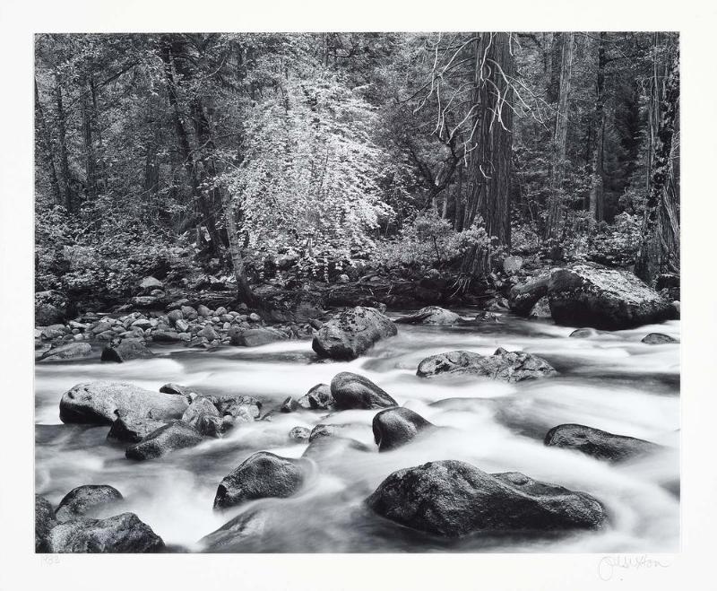 Merced River and Forest, Yosemite Valley, Yosemite National Park, CA