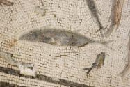 Phase IVb: Surface concrete removed, pre-restoration