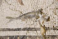Phase IVb: Surface concrete removed, pre-restoration