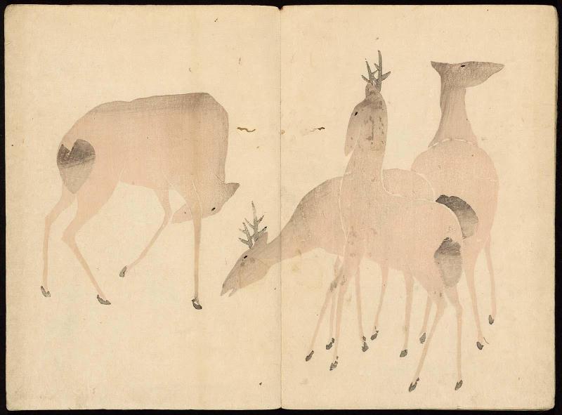 Volume II, Page 11