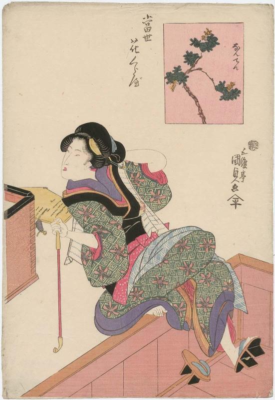 Nandina (Nanten), from the series Contest of Modern Flowers (Tôsei hana kurabe)
