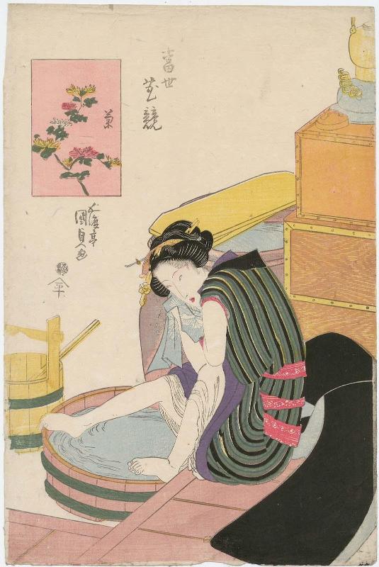 Chrysanthemum (Kiku), from the series Contest of Modern Flowers (Tôsei hana kurabe)