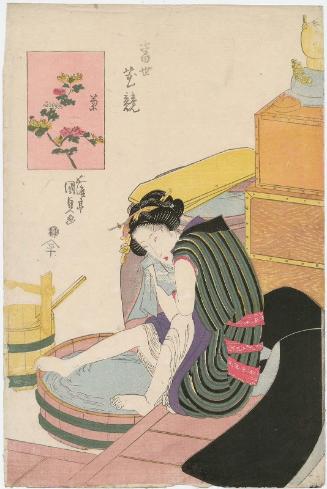 Chrysanthemum (Kiku), from the series Contest of Modern Flowers (Tôsei hana kurabe)
