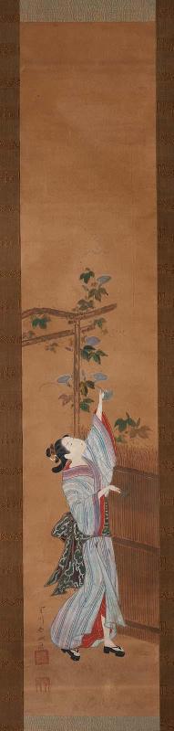 Woman Picking Morning Glory
