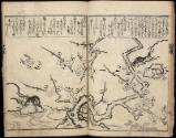 Volume I, Page 8
