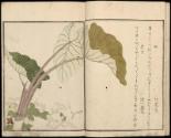 Volume I, Page 7