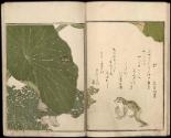 Volume II, Page 8