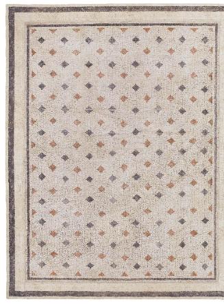 Conservation Status: After Treatment