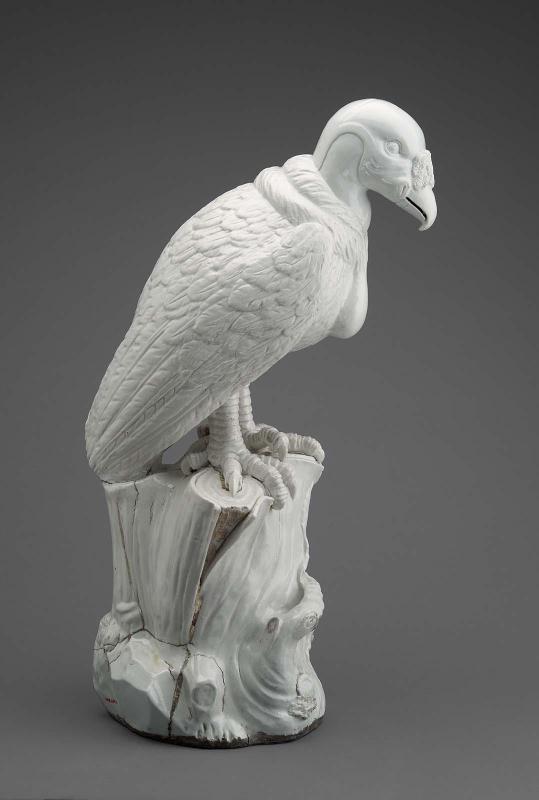 Vulture