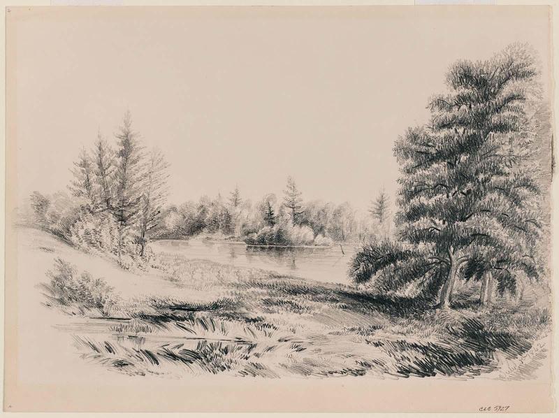 A View Near New Bedford