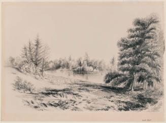 A View Near New Bedford