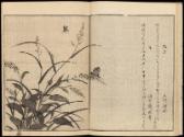 Volume I, Page 8
