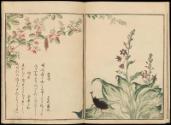 Volume II, Page 3