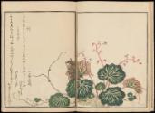 Volume II, Page 6