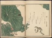 Volume II, Page 7