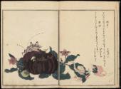 Volume II, Page 4