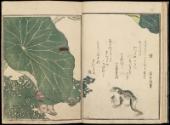 Volume II, Page 7