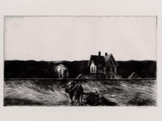American Landscape