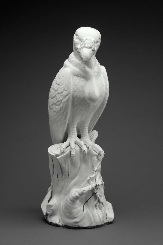 Vulture