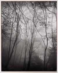 Mist in the Seven Mountains