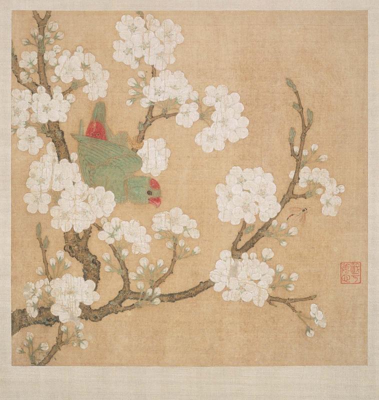 Parrot and insect among pear blossoms