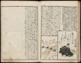 Volume I, Page 7