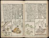Volume I, Page 13