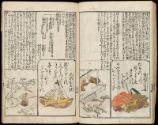 Volume II, Page 17