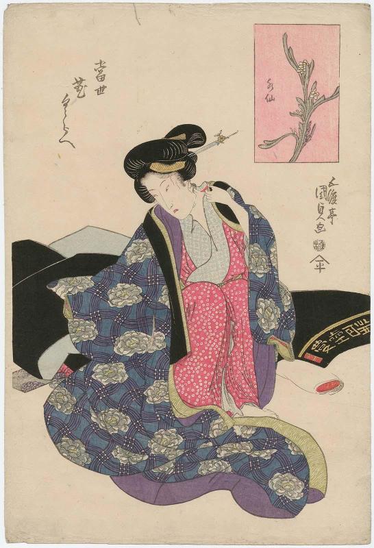 Narcissus (Suisen), from the series Contest of Modern Flowers (Tôsei hana kurabe)