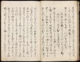 Volume I, Page 23