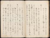 Volume I, Page 30