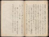 Volume I, Page 35