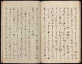 Volume I, Page 45