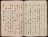 Volume I, Page 46