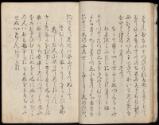 Volume II, Page 11