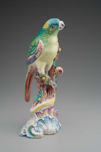 Figure of a Parrot