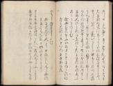 Volume II, Page 41