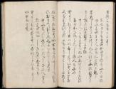 Volume II, Page 45