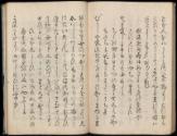 Volume II, Page 47