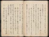 Volume II, Page 58