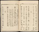 Volume III, Page 17