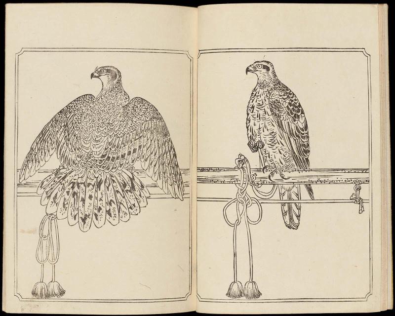 Volume II, Page 7