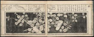 Volume I, Page 8