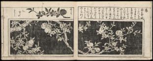 Volume II, Page 2
