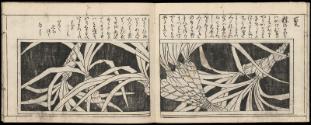 Volume II, Page 3
